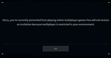 Corrigindo o Erro 'Desculpe, você está impedido de jogar online' em Palworld