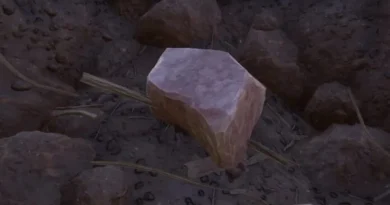Grounded - Como consseguir pedra frágil